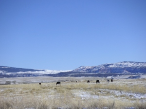 snow Wyoming drought
